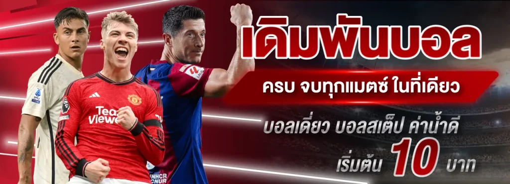 โปรโมชั่น (11)